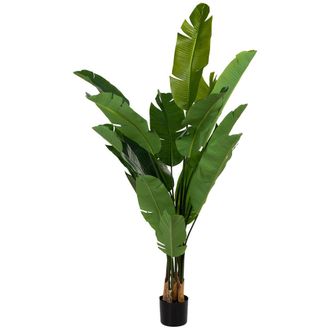 Wanderlust Deco Sterlitzia Artificial Decorativa Con 16 Hojas Verde 75x75x180