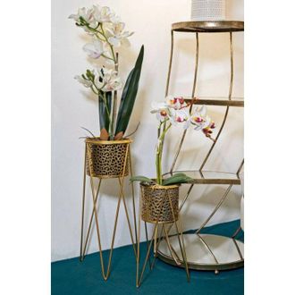 Dmora Dmora - Objetos Robert, Complemento De Decoraci&oacute;n, Art&iacute;culo Decorativo, Accesorio De Decoraci&oacute;n, Oro, 21x20 H46 Cm