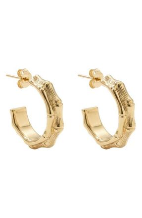 Argento Vivo Chunky Bamboo Hoop Earrings in Gold at Nordstrom