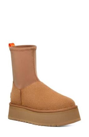 UGG Classic Dipper Platform Boot in Chestnut at Nordstrom Rack, Size 8