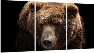 OEM Placa Protectora De Vidrio Para Estufa 3x30x52