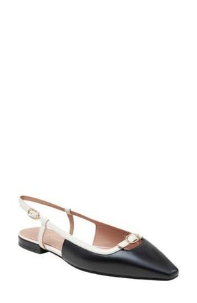 Linea Paolo Cassidy Pointed Toe Slingback Flat in Black/Ivory at Nordstrom Rack, Size 8.5