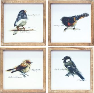 Melrose International Wood Framed Bird Art Print (Set of 4) - Brown, White