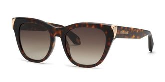 Roberto Cavalli SRC095M 0743 Mens Sunglasses Tortoiseshell Size 54