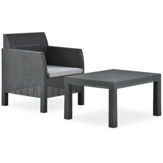 vidaXL Set De Muebles Jard&iacute;n 2 Piezas Con Coj&iacute;n Pp Rat&aacute;n Gris Antracita Vidaxl