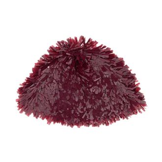 Alanui Embellished Fedora Hat - Dames - Hoeden - Rood - ONE Size - Accessoires