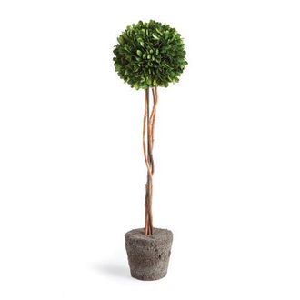 Napa Home & Garden Boxwood Single Sphere Topiary Drop-In 24 in Green at Nordstrom