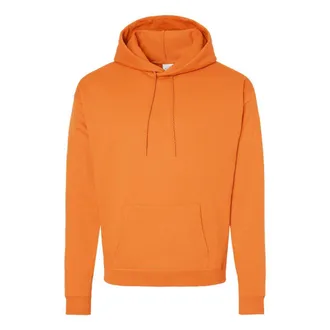 Hanes Ecosmart Hooded Sweatshirt