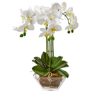 Nearly Natural Triple Phalaenopsis Orchid in Glass Vase in White at Nordstrom