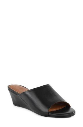 Seychelles Isnt She Lovely Wedge Slide Sandal in Black at Nordstrom, Size 9.5