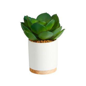 Nearly Natural 6-in Succulent Artificial Plant in White Ceramic Planter in Green at Nordstrom