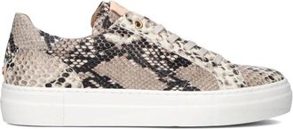 Fred De La Bretoniere Storm Isa Lage Sneakers - Dames - Sneakers - Veelkleurig - 41 EU - Schoenen