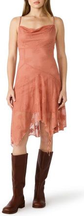 Steve Madden Corina Embroidered Slipdress in Canyon Rose at Nordstrom, Size X-Small