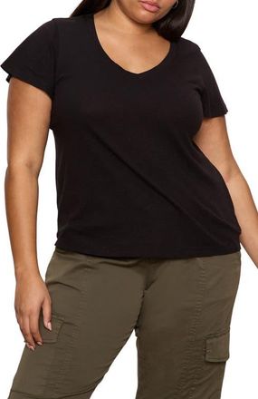 Sanctuary V-Neck T-Shirt in Black at Nordstrom, Size 2X