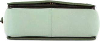 Celine Frame Leather Medium shoulder bag - Groen