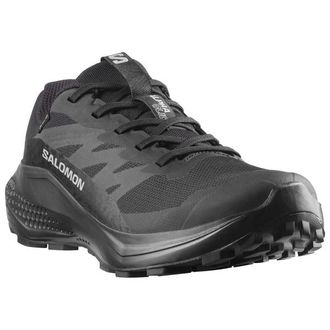 Salomon Alphaglide GORE-TEX Trailrunningschuhe f&uuml;r Damen | grau