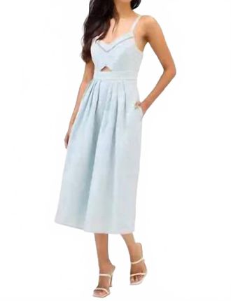 Allison New York Embroided Natalie Dress In Powder Blue