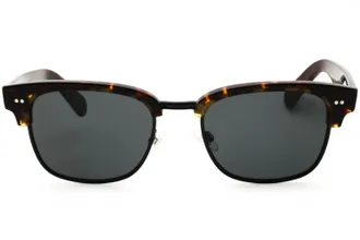 Polo Ralph Lauren 0PH4202 Tortoiseshell Acetate Sunglasses - Brown