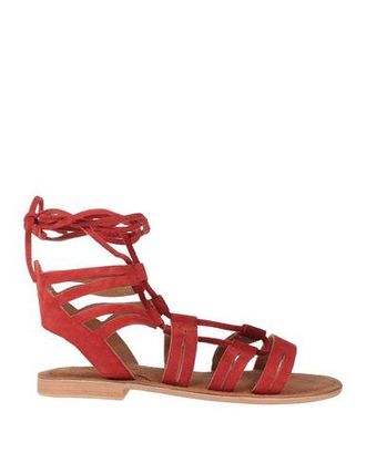 Coccodrillo Sandals