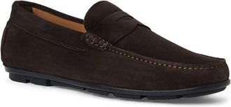 Aquatalia Enzo Water Resistant Driving Loafer in Dark Brown Suede at Nordstrom, Size 10.5