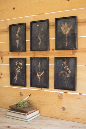 Kalalou Set Of Six Botanical Prints Under Glass