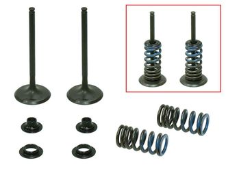 OEM V&aacute;lvulas De Admisi&oacute;n Psychic (juego De V&aacute;lvulas Con Resortes Y Arandelas) Honda Crf 250 R 04-07, Crf 250 X 04-17 Acero (mx-09526i)