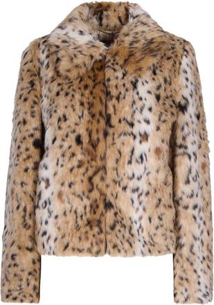 Max Mara Coat