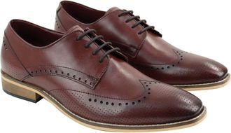 House of Cavani Mens Classic Oxford Brogue Shoes in Perforated Wine Leather