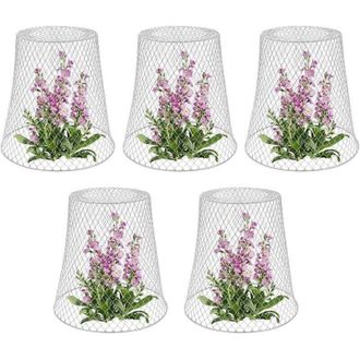 OEM Soporte Para Plantas, Campana Protectora Met&aacute;lica Para Plantas - Paquete De 5, Blanco