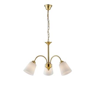 Netlighting 3 Light Multi Arm Pendant Ceiling Light Gold Glass Shades 60x37.9cm | Size: 60x37.9 cm