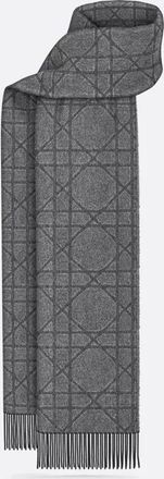 Dior Paph Echarpes Accessories