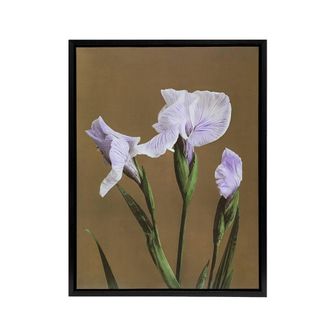 Artery8 Japanese Water Iris Flowers Framed Canvas Wall Art Print Ogawa Kazumasa in Brown | Size: W24 x H32