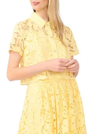 Ted Baker Micah Lace Embroidered Button-Up Top in Creamed Corn at Nordstrom, Size X-Large