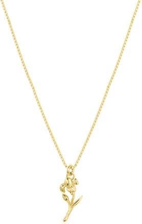 Set & Stones Elsie Birth Flower Necklace in Gold /February at Nordstrom