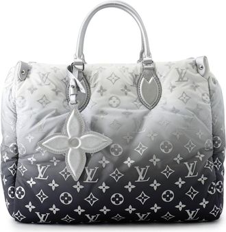 Louis Vuitton Silver Nylon Handbag Shoulder Bag Tote Bag (Pre-Owned)