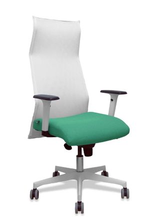 Piqueras y Crespo Silla De Oficina Piqueras Y Crespo 54br65g Blanco Verde Esmeralda