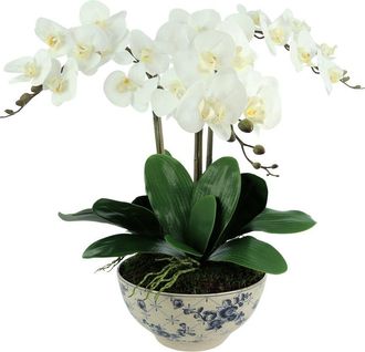 Creative Displays Inc. Orchid Arrangement In Decorative Ceramic Pot