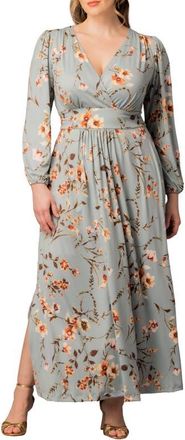 Kiyonna Kelsey Long Sleeve Maxi Dress in Spring Meadow at Nordstrom, Size 0X