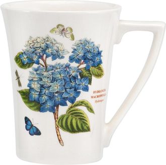 Portmeirion Set Of 6 Botanic Garden Mandarin Mugs