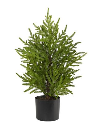 Nearly Natural 2ft Norfolk Island Pine Natural Look Artificial Tree