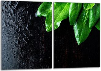 OEM Placa Protectora De Vidrio Para Estufa 2x40x52 Albahaca