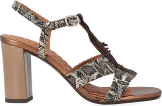 Chie Mihara Balia Sandal - Dames - Sandalen met hakken - Bruin - 37 1/2 EU - Leer - Schoenen
