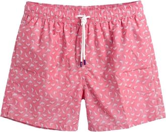 Fedeli Madeira Zwempak - Heren - Strandmode - Roze - XL - Polyester - Badmode