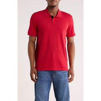 Calvin Klein Classic Fit Embroidered Polo in Chili Pepper at Nordstrom Rack, Size Xx-Large