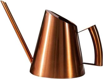No Brand Regadera Vintage Para Jardiner&iacute;a Dom&eacute;stica, Regadera De Acero Inoxidable Con Boquilla Larga, Regadera De Metal, Maceta Con Aspersor