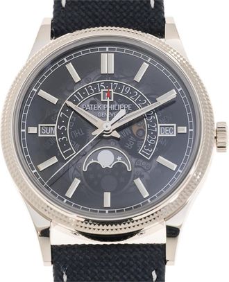 Patek Philippe Grand Complications Perpetual Hand Wind Moon Phase Black Dial Watch 6159G-001