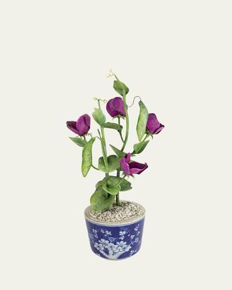 Tommy Mitchell Sweet Pea April Birth Flower in Ceramic Pot