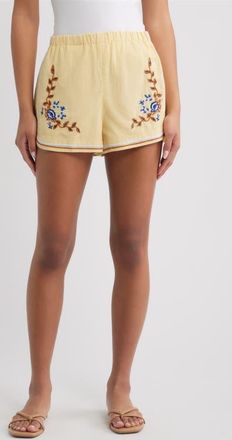 Cleobella Wes Embroidered Shorts in Impala at Nordstrom, Size X-Large