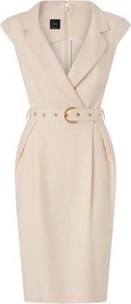 Pinko Amadine Dress