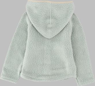 Patagonia Retro Pile Jacket - Green